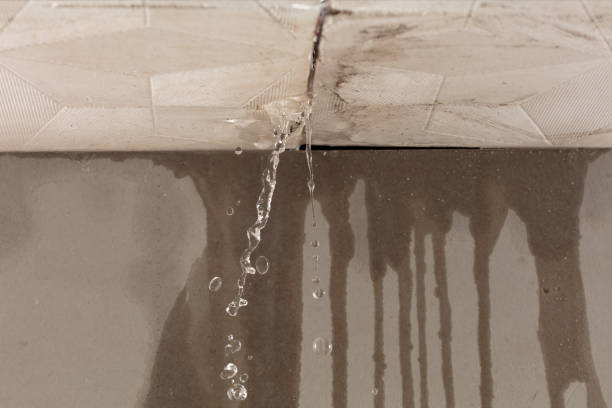 Professional Structural Drying technician working in Altura, MN
